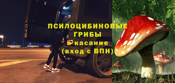 хмурый Волосово
