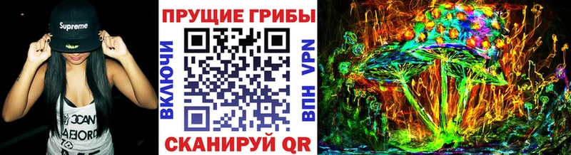 Псилоцибиновые грибы Magic Shrooms  KRAKEN рабочий сайт  Зубцов  наркошоп 